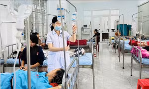 Vụ ngộ độc bánh mì ở Đắk Lắk: Mẫu bệnh phẩm và thực phẩm nhiễm vi khuẩn Salmonella