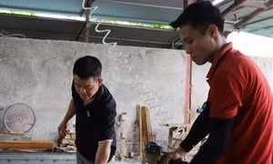 Nông dân 'phất lên' nhờ áp dụng tiêu chuẩn quốc tế