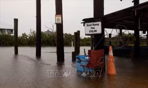 Mỹ: Bão Francine tàn phá Louisiana, hàng trăm nghìn người mất điện
