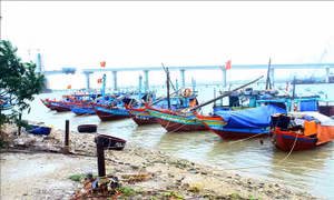 Nghệ An: Chủ động phòng chống bão Ma-on