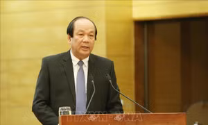 Bộ trưởng, Chủ nhiệm Văn phòng Chính phủ: 'Thấy việc chướng tai, gai mắt mà lờ đi là không được'