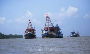 Lập hồ sơ quản lý chặt tàu cá 'nguy cơ cao' vi phạm vùng biển nước ngoài