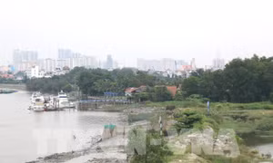 TP Hồ Chí Minh có 83 trường hợp vi phạm hành lang bờ sông, kênh, rạch