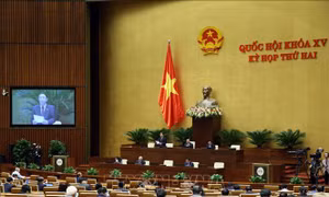 Quốc hội thảo luận về một số cơ chế, chính sách đặc thù tại 4 tỉnh, thành phố