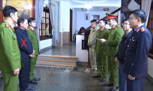 Khởi tố 2 Giám đốc sai phạm trong kinh doanh xe điện chở khách tại Sầm Sơn