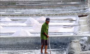 Mỏ 'vàng trắng' từ biển cả