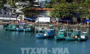 Quyết liệt hành động theo khuyến nghị của EC
