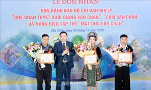 Bảo hộ chỉ dẫn địa lý, nâng cao giá trị nông sản đặc trưng của Văn Chấn, Yên Bái
