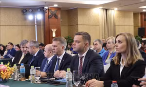 Còn nhiều tiềm năng hợp tác đầu tư giữa TP Hồ Chí Minh - Saint Petersburg