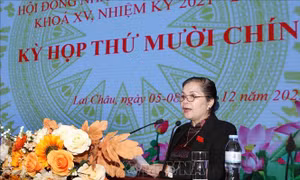 Bãi nhiệm, miễn nhiệm, bầu bổ sung Ủy viên UBND tỉnh Lai Châu