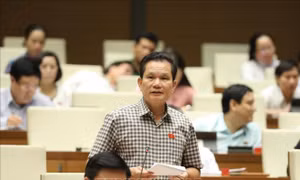 Tập trung giải quyết vấn đề công bằng xã hội, đảm bảo thực chất