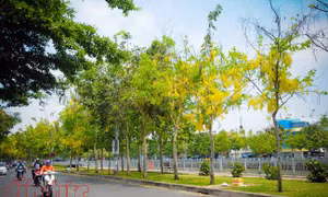 Thời tiết 26/10: Chiều và đêm nay gió mùa đông bắc tràn về, miền núi phía Bắc trời chuyển lạnh