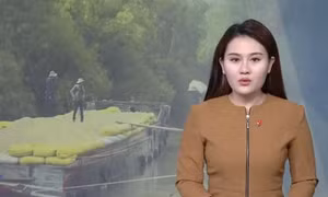 Yêu cầu thương nhân kinh doanh gạo báo cáo hoạt động