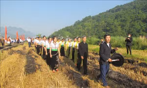 Đặc sắc Lễ hội Kin lẩu khẩu mẩu (lễ hội Cốm mới) của đồng bào dân tộc Thái ở Lai Châu