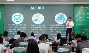 Mười sáng kiến đoạt giải tại Cuộc thi Sáng kiến thanh niên về năng lượng bền vững