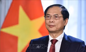 Bộ trưởng Ngoại giao Bùi Thanh Sơn tiếp Đại diện Thương mại Hoa Kỳ Katherine Tai