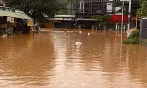Mưa lớn kèm dông lốc làm nhiều cây xanh, trụ điện ở TP Đồng Xoài gãy đổ 