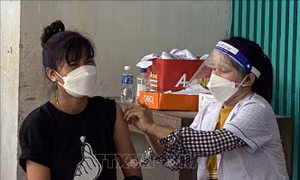Ninh Thuận: Tiêm mũi 3 và tiêm bổ sung vaccine cho các trường hợp ưu tiên