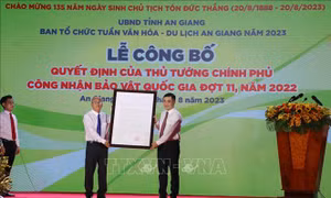 Mukhalinga Ba Thê được công nhận là Bảo vật quốc gia