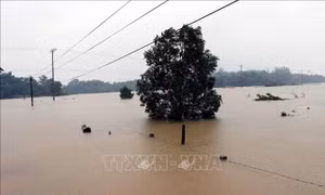 Thêm hai người bị mắc kẹt trong rừng do mưa lũ đã về nhà 