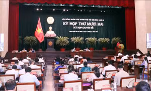 HĐND TP Hồ Chí Minh tiếp tục cụ thể hóa Nghị quyết 98 của Quốc hội