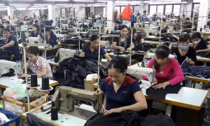 Đồng Nai: Thưởng Tết Nguyên đán Kỷ Hợi cao nhất là 545 triệu đồng