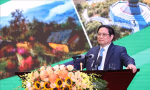 Phát triển vùng trung du và miền núi Bắc Bộ phải bám sát 5 quan điểm theo Nghị quyết 11 