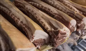 Trung Quốc ngừng nhập khẩu thịt lợn Hà Lan