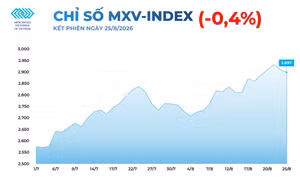 MXV-Index rời khỏi vùng 2.900 điểm