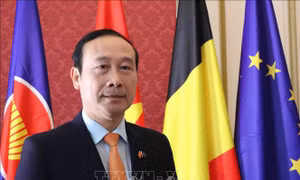 5 năm thực thi EVFTA: Cơ hội vàng để Việt Nam vươn lên trong hợp tác kinh tế với châu Âu