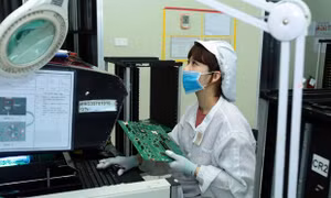 Thương mại song phương Việt Nam-Ấn Độ lần đầu tiên vượt mốc 13 tỷ USD