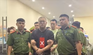 Triệt phá đường dây lừa đảo chiếm đoạt tài sản qua sàn thương mại điện tử giả