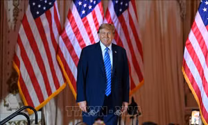Bầu cử Mỹ 2024: Thăm dò dư luận cho thấy ông Trump dẫn trước ông Biden tại 7 bang chiến địa