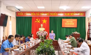 Góp ý vào hai dự thảo Luật chuẩn bị cho Kỳ họp thứ 6, Quốc hội khóa XV