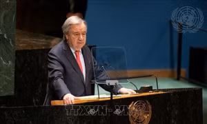 Tổng Thư ký Guterres nhấn mạnh cam kết của Liên hợp quốc ủng hộ Iraq