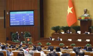 Nghị quyết Kỳ họp thứ 6, Quốc hội khóa XV