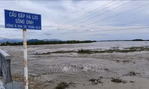 Nhiều hồ chứa ở Khánh Hòa xả lũ để ứng phó với mưa lớn