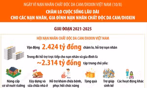 Chăm lo cuộc sống lâu dài cho các nạn nhân, gia đình nạn nhân chất độc da cam/dioxin