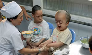 Nghĩa tình, trách nhiệm chung tay xoa dịu nỗi đau da cam
