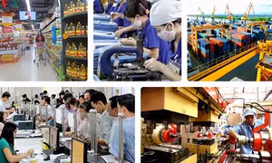 Thúc đẩy cải cách môi trường đầu tư kinh doanh