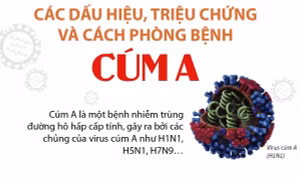 Các dấu hiệu, triệu chứng và cách phòng bệnh cúm A
