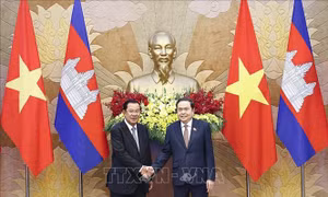 Chủ tịch Quốc hội Trần Thanh Mẫn hội kiến Chủ tịch Đảng Nhân dân Campuchia, Chủ tịch Thượng viện Campuchia Hun Sen