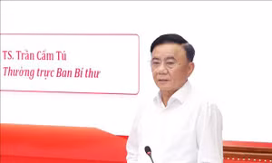 Thường trực Ban Bí thư Trần Cẩm Tú trao đổi chuyên đề về xây dựng Đảng với các Ủy viên Trung ương Đảng khóa XIV