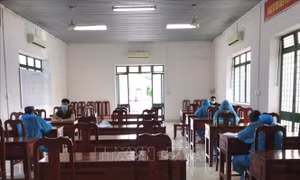 Tây Ninh: Xử phạt 3 trường hợp xuất, nhập cảnh trái phép qua biên giới