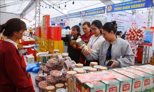 Mang mùa xuân ấm áp, nghĩa tình đến với người lao động