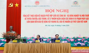 Phát hiện gần 1.800 vụ vi phạm về bảo vệ động vật hoang dã và nguồn lợi thủy sản