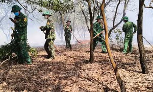 Dập tắt kịp thời các vụ cháy rừng ven biển