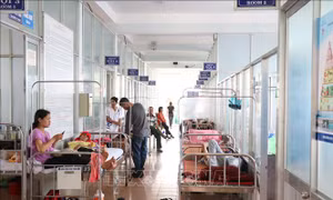Đắk Lắk ghi nhận một bệnh nhi tử vong vì sốt xuất huyết
