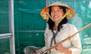 Khởi nghiệp thành công với mô hình nuôi cà cuống