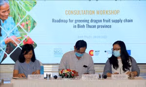 Lộ trình xanh hóa chuỗi cung ứng thanh long Bình Thuận